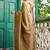 olive embellished mirror work tissue heavy work saree