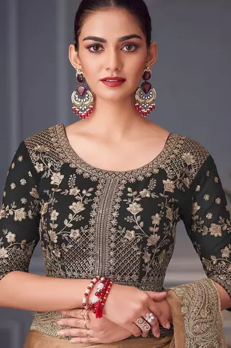 rust embellished pure chiffon saree