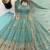Mint green peacock feather embroidered silk gown with pant & dupatta