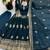 Peacock blue peacock feather embroidered silk gown with pant & dupatta