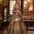 Brown Sparkle & Print Silk Blend Semi Stitched Lehenga Set