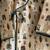Beige printed cotton silk kurta set