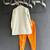 Off white and Orange printed cotton silk kurta set