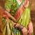 green woven design zari satin banarasi saree