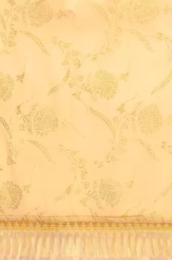 beige beige floral zari pure chiffon saree