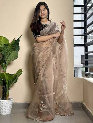 brown embroidered ethnic motifs  organza saree 2