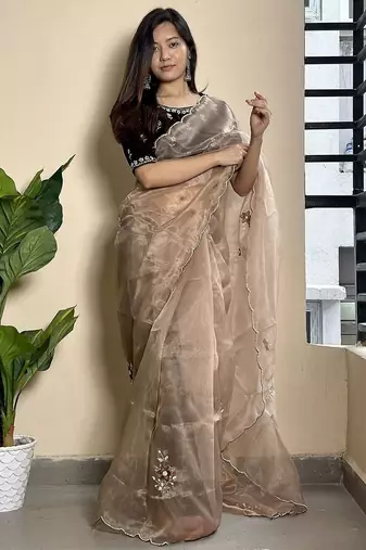 brown embroidered ethnic motifs  organza saree
