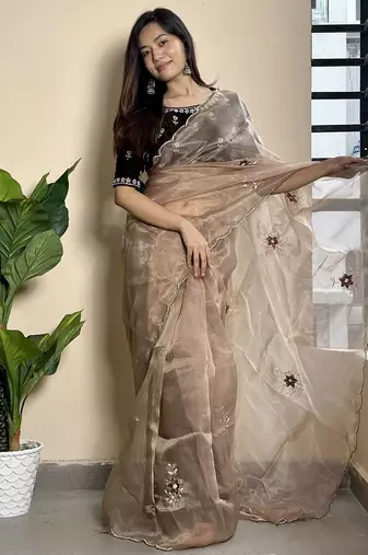 brown embroidered ethnic motifs  organza saree