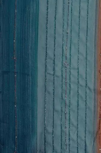 teal teal & brown striped beads & stone work pure chiffon saree