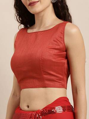 red red striped sequinned saree 5