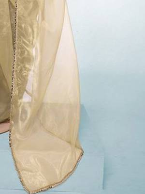 beige mirror work tissue saree 4