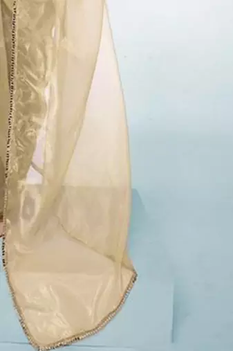 beige mirror work tissue saree