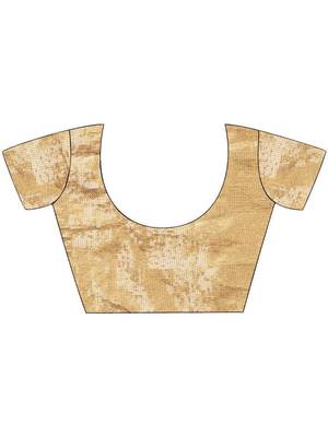beige mirror work tissue saree 5