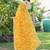 yellow bandhani embroidered poly georgette bandhani saree