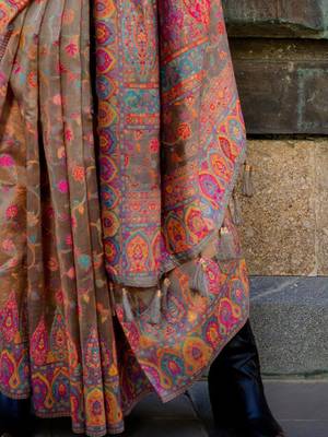 brown brown ethnic motifs woven design organza banarasi saree 5