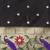 black floral zari silk blend paithani saree