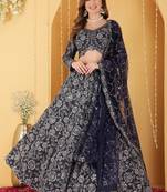 Navy Blue Double Net Hand Embroidered Lehenga Set