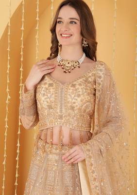 Beige Double Net Hand Embroidered Lehenga Set 2