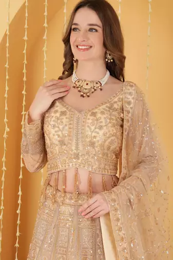 Beige Double Net Hand Embroidered Lehenga Set