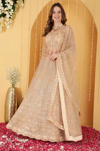Beige Double Net Hand Embroidered Lehenga Set