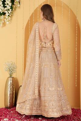 Beige Double Net Hand Embroidered Lehenga Set 4