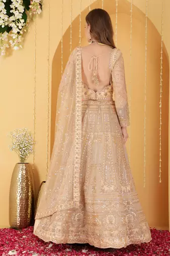 Beige Double Net Hand Embroidered Lehenga Set