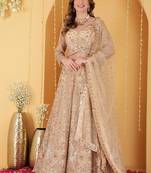 Light Beige Double Net Hand Embroidered Lehenga Set