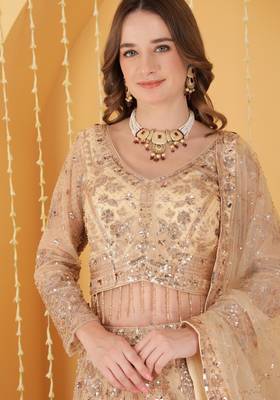Light Beige Double Net Hand Embroidered Lehenga Set 2