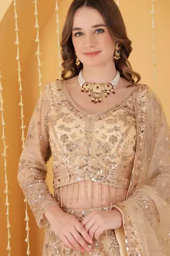 Light Beige Double Net Hand Embroidered Lehenga Set