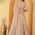 Light Beige Double Net Hand Embroidered Lehenga Set
