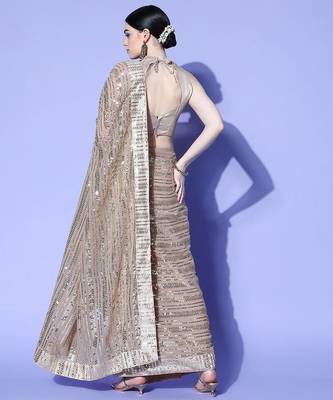 Rose geometric saree with embroidered border 4