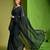 green embellished sequinned saree