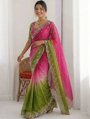 Multicolor embellished embroidered tissue heavy work saree 2
