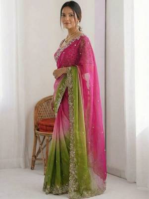 Multicolor embellished embroidered tissue heavy work saree 3