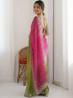 Multicolor embellished embroidered tissue heavy work saree 4