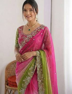 Multicolor embellished embroidered tissue heavy work saree 5