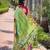green woven design zari silk blend paithani saree