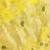 yellow woven design zari silk blend designer banarasi saree