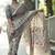 Cream kalamkari mirror work bandhani saree