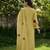 Yellow embroidered chanderi silk kurta pant set with hand kodi lace and dupatta