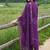 women ethnic motifs embroidered regular thread work cotton kurta with trousers & with dupatta
