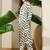 women printed regular kurta with trousers
