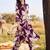 women floral printed regular sequinned kurta with trousers