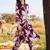 women floral printed regular sequinned kurta with trousers