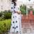 women printed regular cotton kurta with trousers & with dupatta