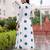 women printed regular cotton kurta with trousers & with dupatta