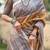 Olive ethnic motifs art silk saree
