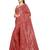 Red embellished sequinned saree