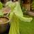 Lime floral saree