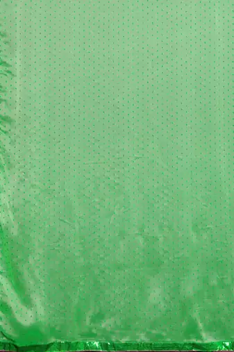 Green geometric embroidered sequinned saree